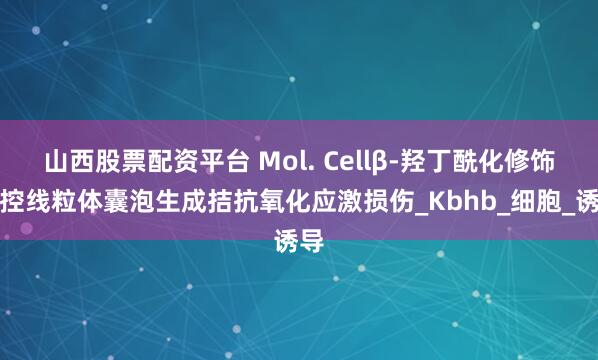 山西股票配资平台 Mol. Cellβ-羟丁酰化修饰调控线粒体囊泡生成拮抗氧化应激损伤_Kbhb_细胞_诱导
