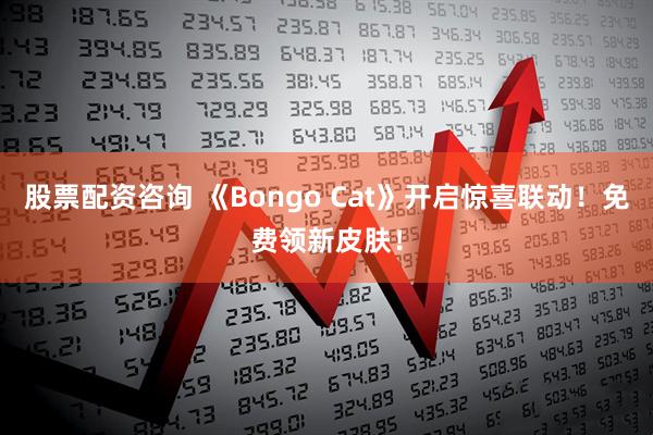 股票配资咨询 《Bongo Cat》开启惊喜联动！免费领新皮肤！